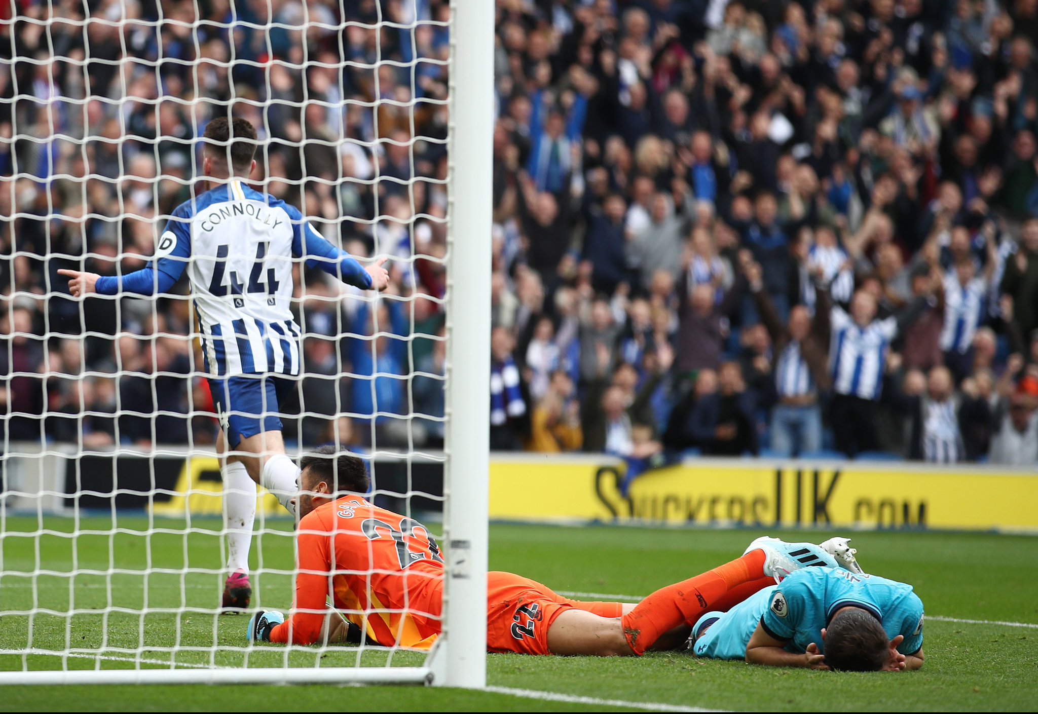 定期参加行 定期参加行